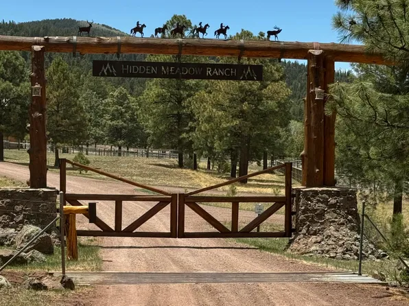 11 COUNTY ROAD N1333 --, Greer, AZ 85927