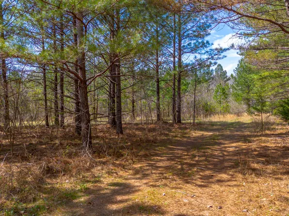 0 Little Texas Rd, Goodspring, TN 38460