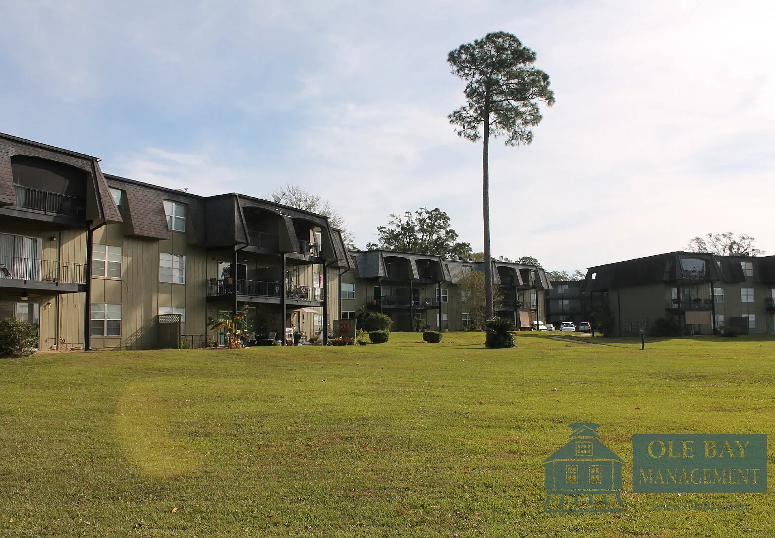 1 bed, 1.0 bath, $775 — Photo 1