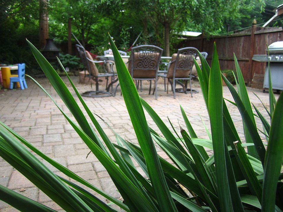 Large Courtyard
