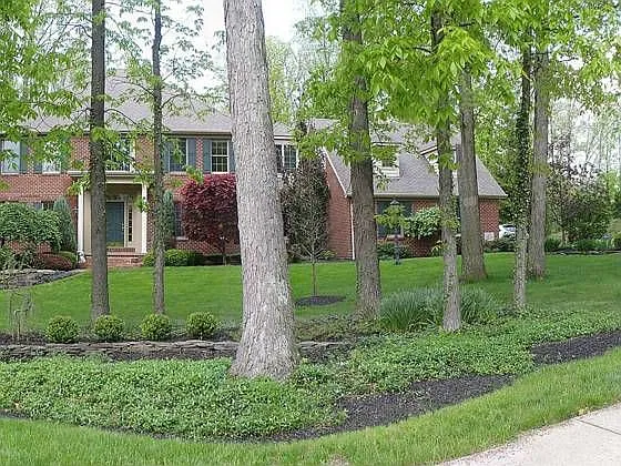 115 Timber Run Dr photo 1