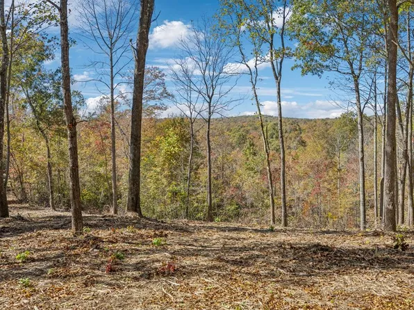 TRACT Nine Off Of Sheep Ranch Rd, Robbins, TN 37852