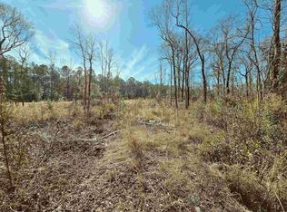 4 Pauley Swamp Rd, Conway, SC 29527