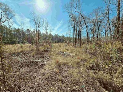 TBD 4 Pauley Swamp Rd., Conway, SC, 29527