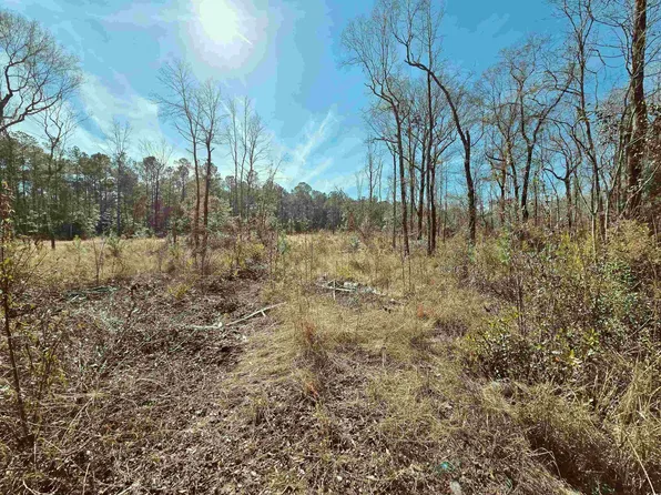 TBD 3 Pauley Swamp Rd., Conway, SC 29527