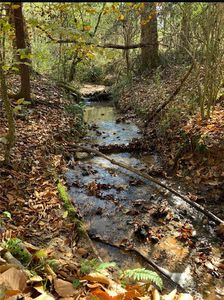 0 Seth Walsh Rd, Boomer, NC, 28606