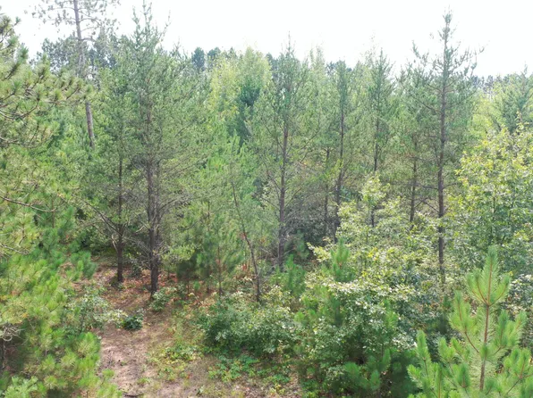 6752 Pike Bend Rd, Webster, WI 54893