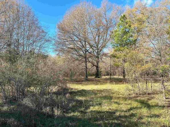 17507 County Road 196, Flint, TX 75762