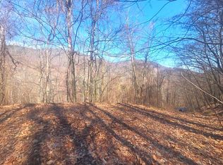 1200 Chestnut Flats Rd, Waynesville, NC 28786