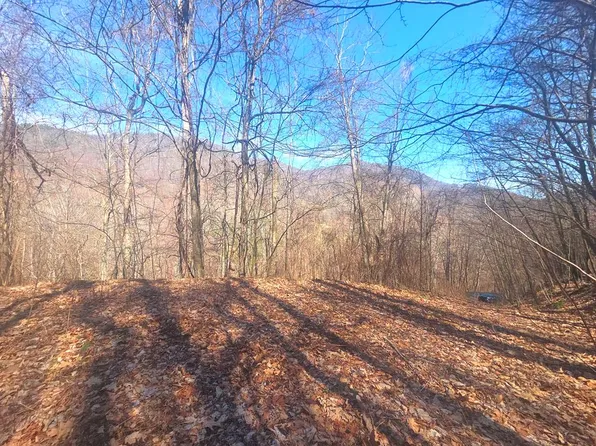 1200 Chestnut Flats Rd, Waynesville, NC 28786