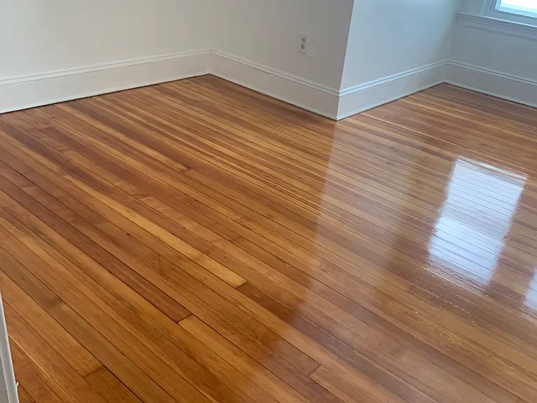 50 Maplewood Ave #3 — Photo 4