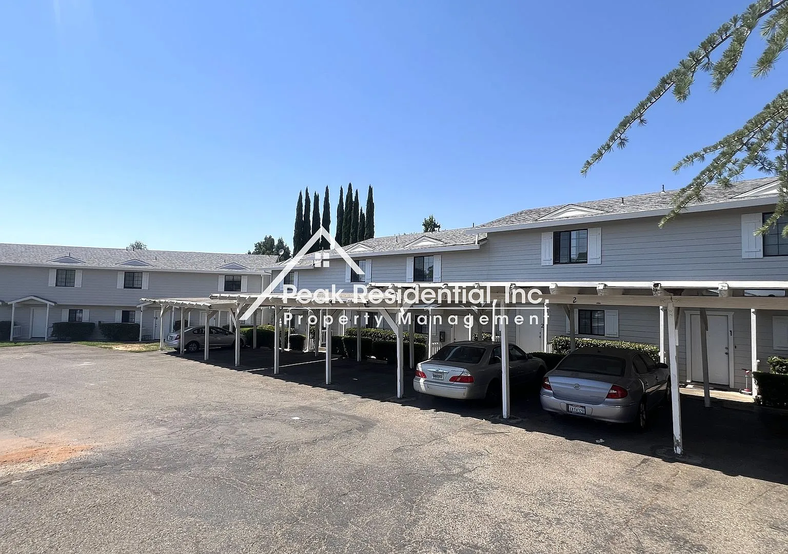 Cimmarron3397 — Photo 1