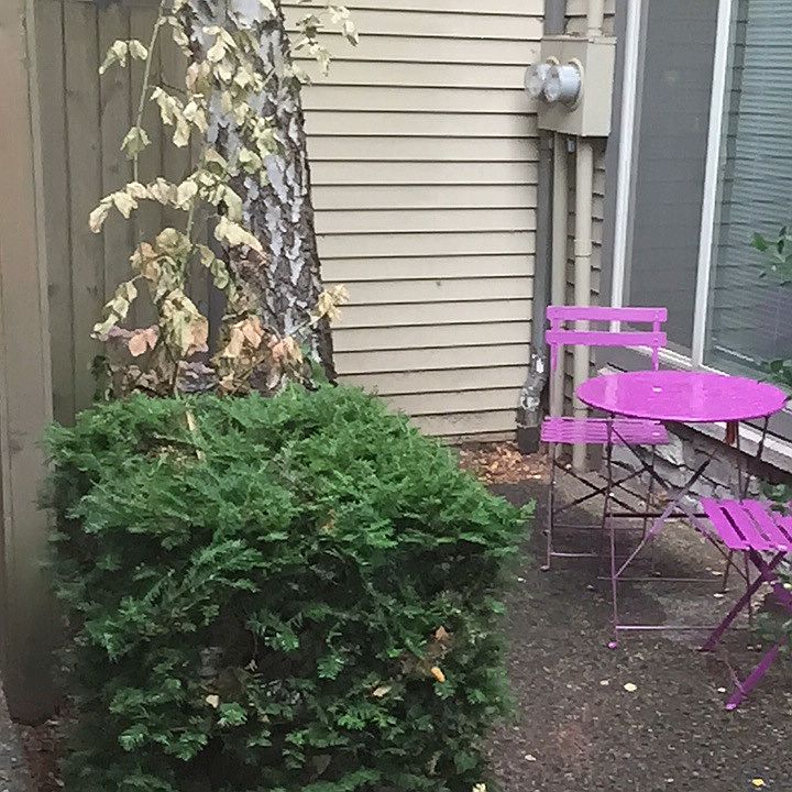 Private patio with tree