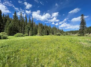 22864 S Rochford Rd, Hill City, SD 57745