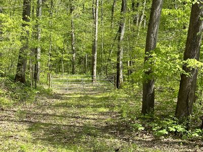 0 Taylor Creek Rd, Nunnelly, TN, 37137