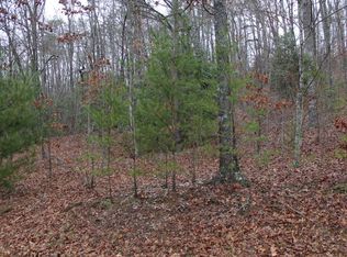 26 Coyote Cv, Hayesville, NC 28904