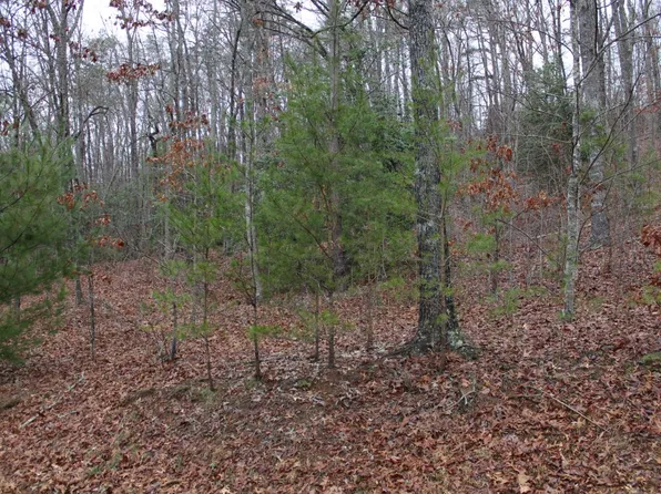 26 Coyote Cv, Hayesville, NC 28904