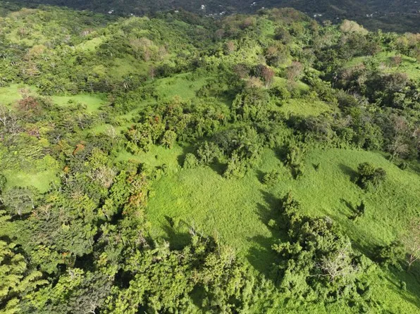 Finca Prairie Km #765-1.3, San Lorenzo, PR 00754