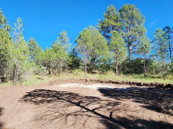 4 Oakmont Dr #6, Timberon, NM 88350