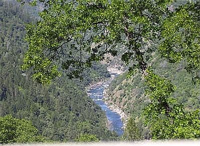 view from most rooms in house and back deck