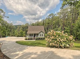 54 Gold Leaf Ct, Mineral Bluff, GA 30559