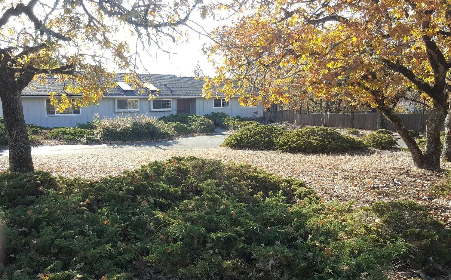336 Shetland Dr photo 1