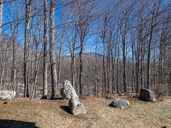 5th image of 202 Eagle Rise Road #16