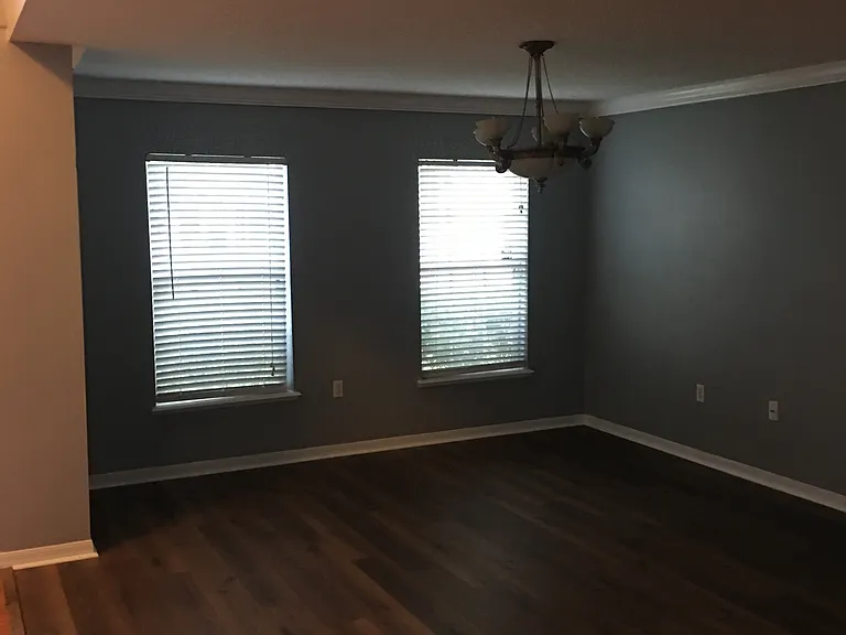 downstairs living room