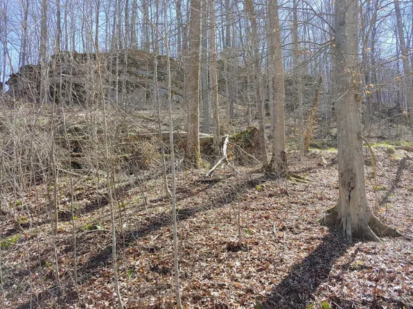 0 Birch Hollow Road Phase #11-2, Stanton, KY 40380