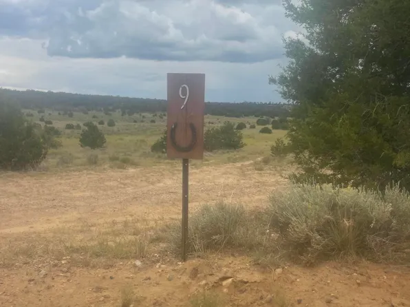 9 Peaceful Dr, Pinehill, NM 87357