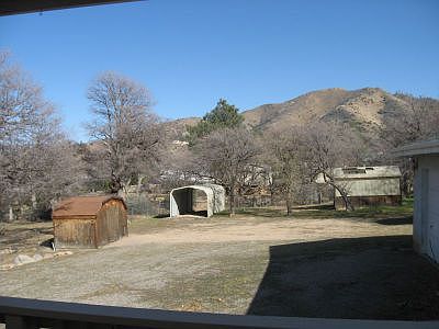 Back yard