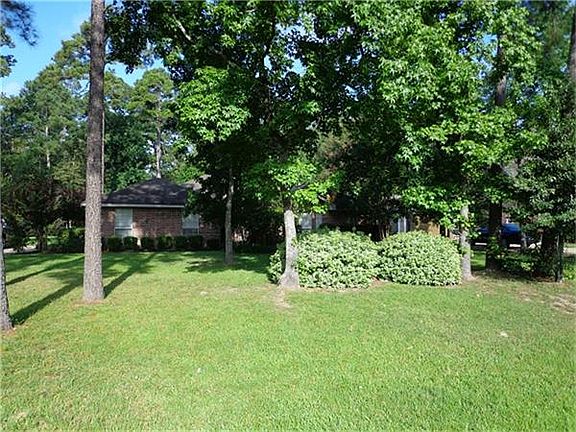 Mature Trees for privacy