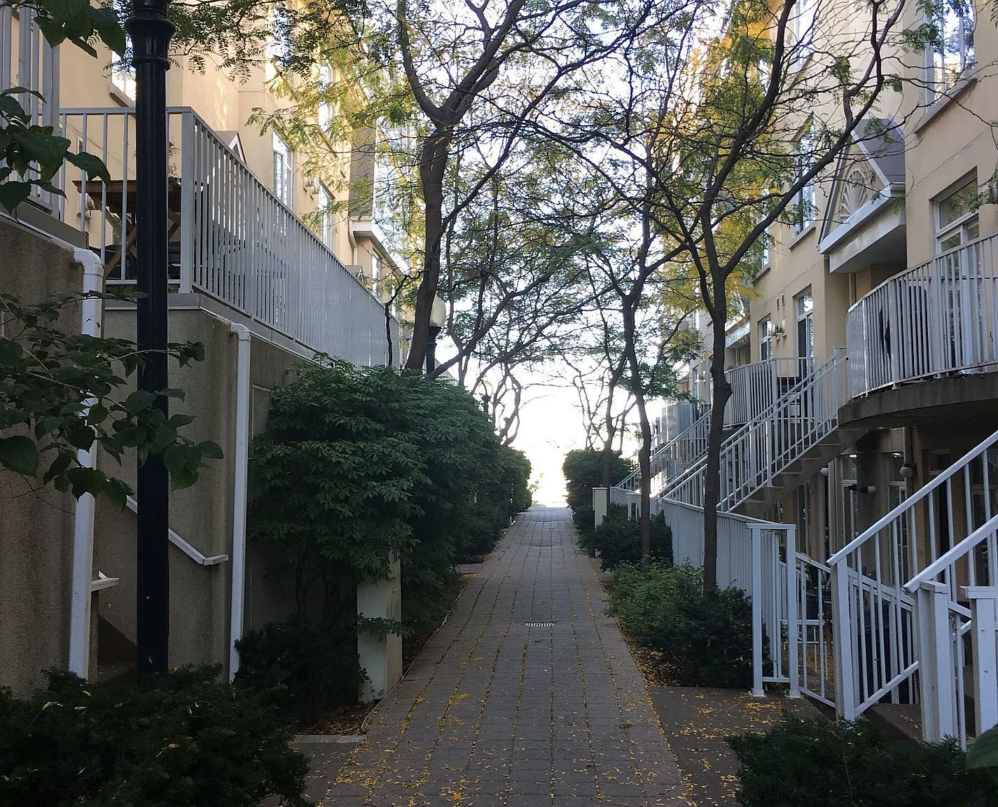 2 bed, $3,700 — Photo 3