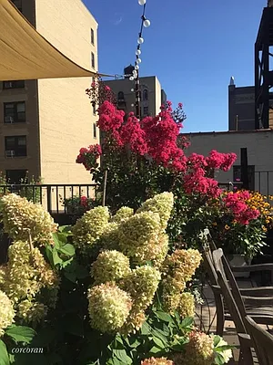 Sold by Corcoran | media 24