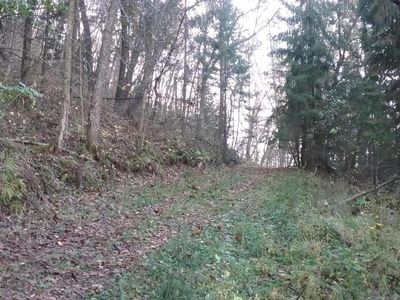 E4397 Dodson Hollow Rd, Chaseburg, WI, 54621