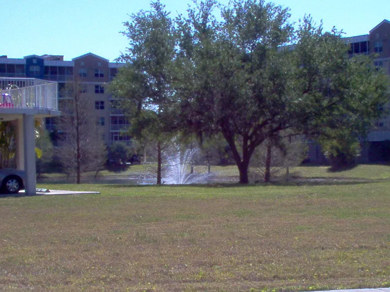 Fountain in Lake #1