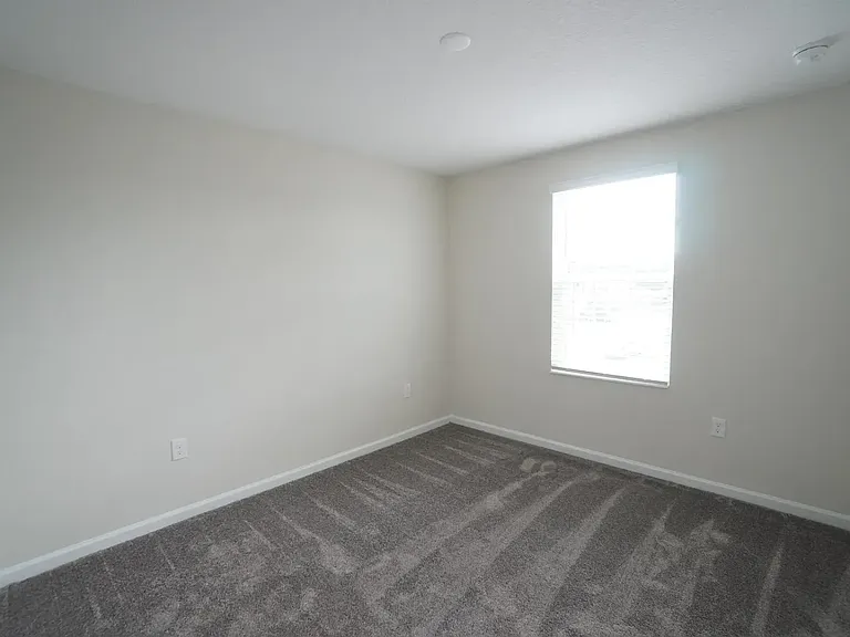 2908 Atlas Cedar Dr — Photo 16