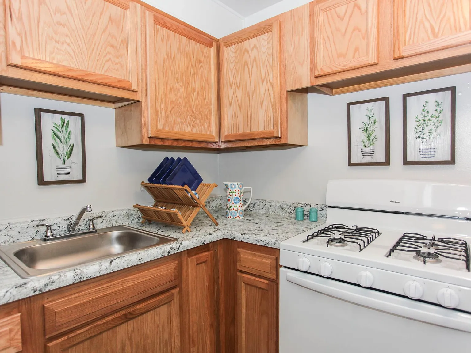 Lothian and Oakridge Apartments — Photo 4