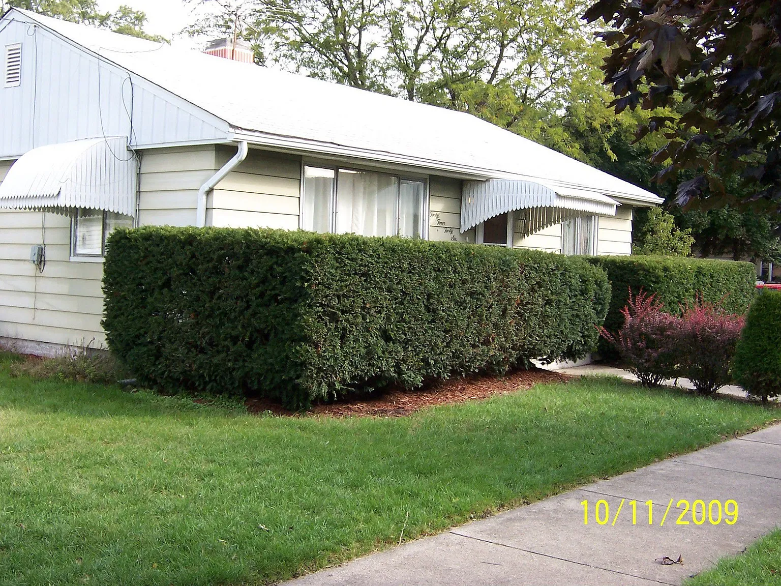 4446 Amelia Ave photo 1