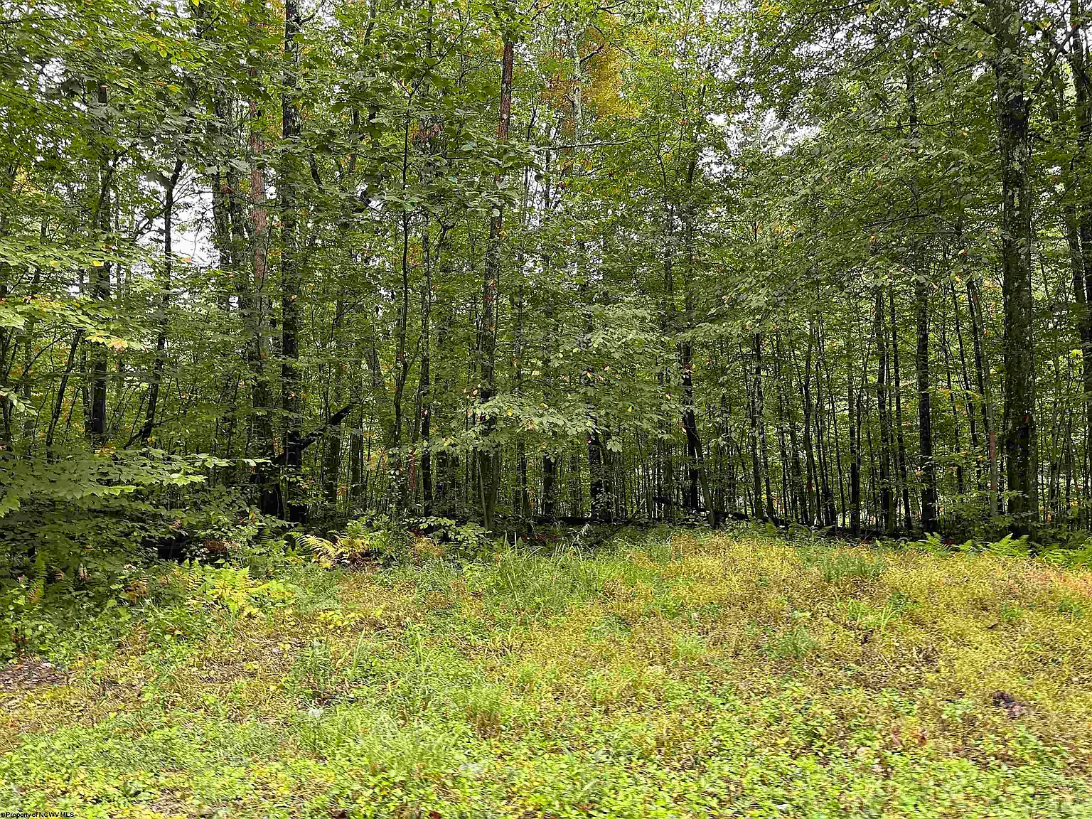 3 Deckers Trail Rd photo 1