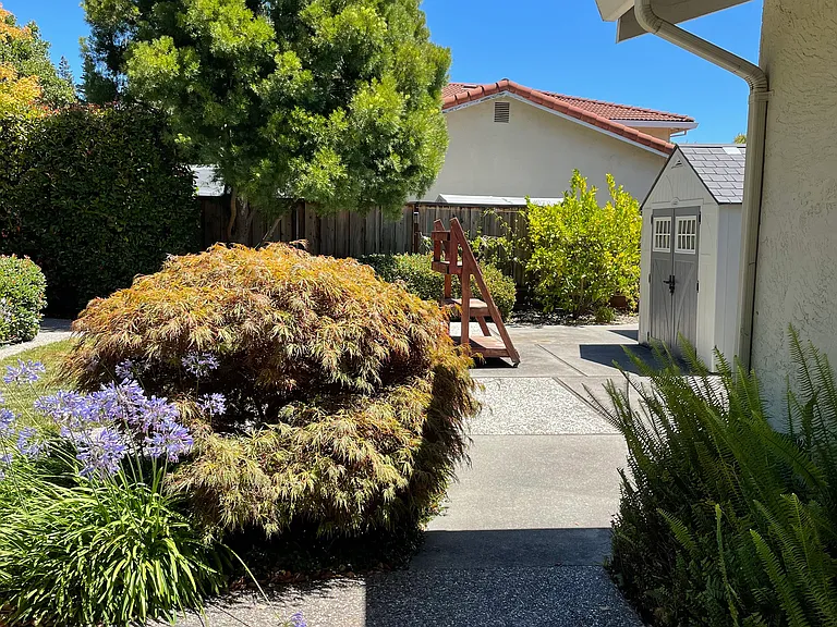 Backyard with hardscaping and mature vegetations.