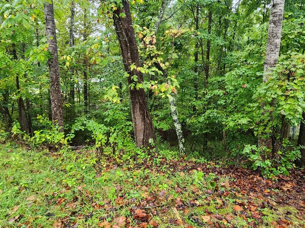 63 Circle View St, Rocky Mount, VA 24151