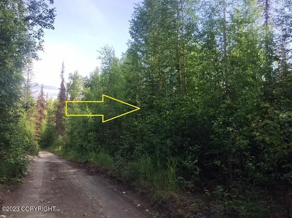 L2-B3 E Herringbone St, Talkeetna, AK 99676