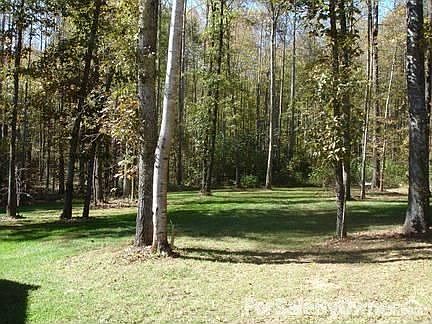 Private Side yard