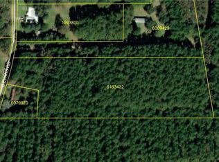 52464 S Evans Rd, Independence, LA 70443