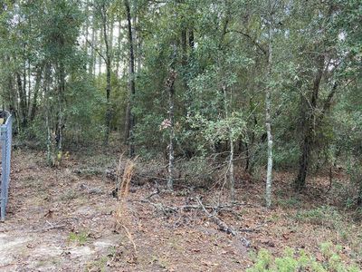 0 NE 69th Pl, Bronson, FL, 32621
