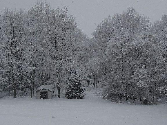 Winter view of backyard from deck