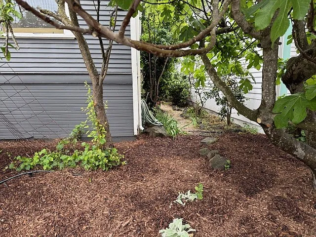 300 Brown St — Photo 14