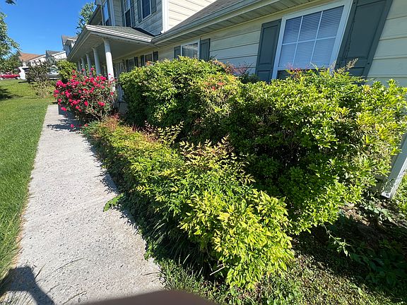 Front yard sidewalk