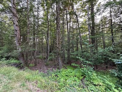 0 Shaw Rd, Cummington, MA, 01026